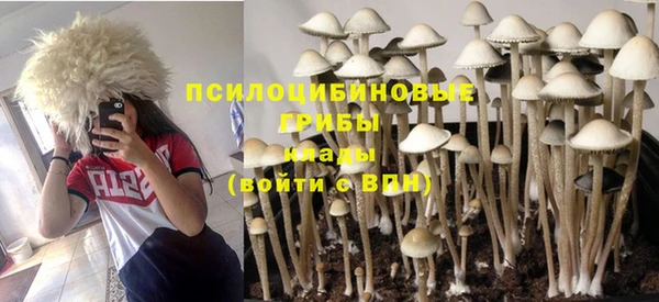 герыч Балахна