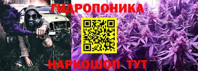 гидропоника Будённовск
