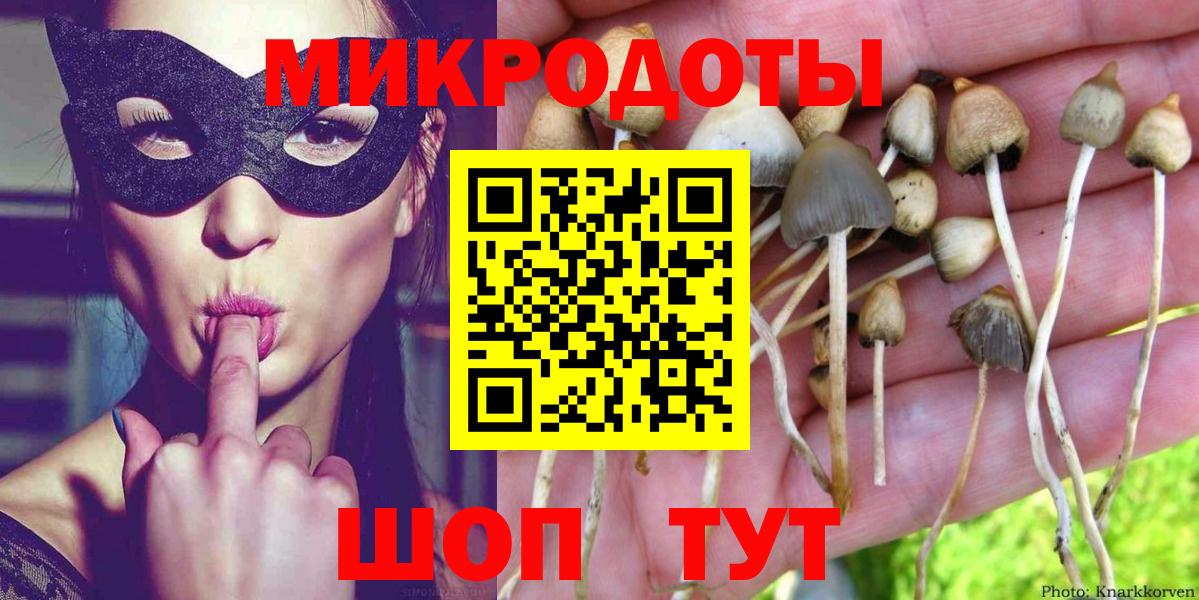 Псилоцибиновые грибы мицелий  Гудермес 