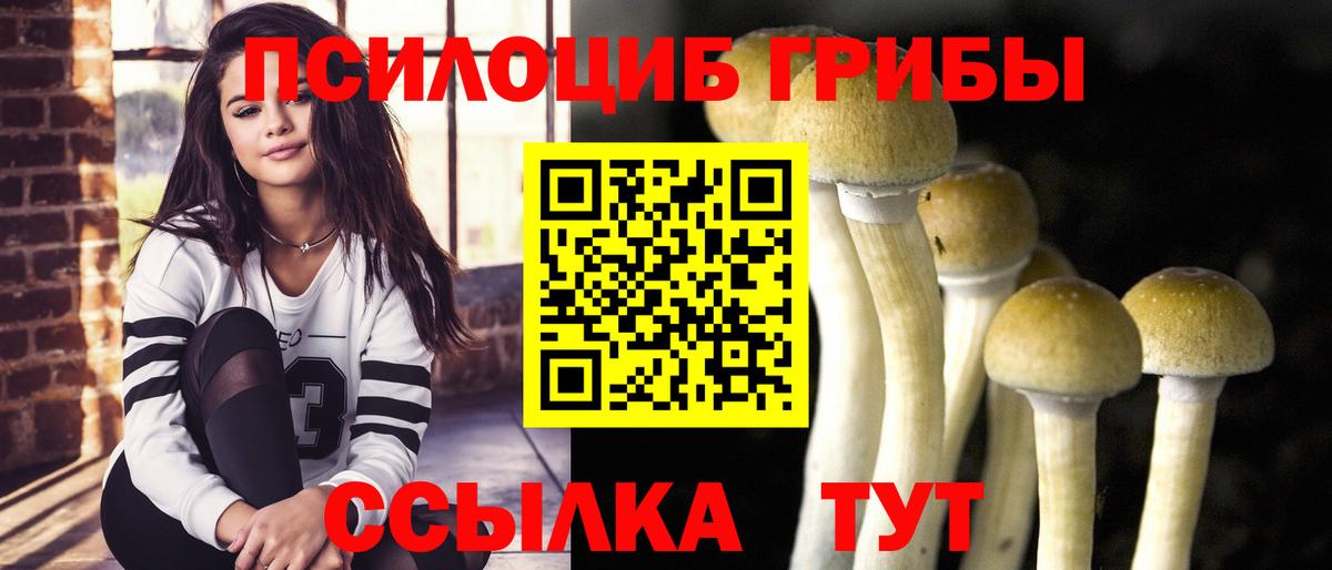 Галлюциногенные грибы Magic Shrooms Гудермес