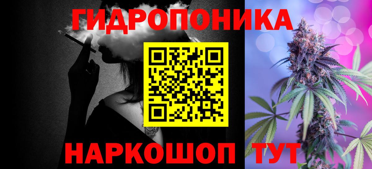 Марихуана планчик  Гудермес  Шишки марихуана тримм  Канабис Amnesia 